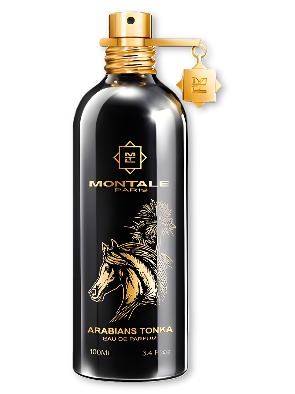 Montale-Arabians Tonka