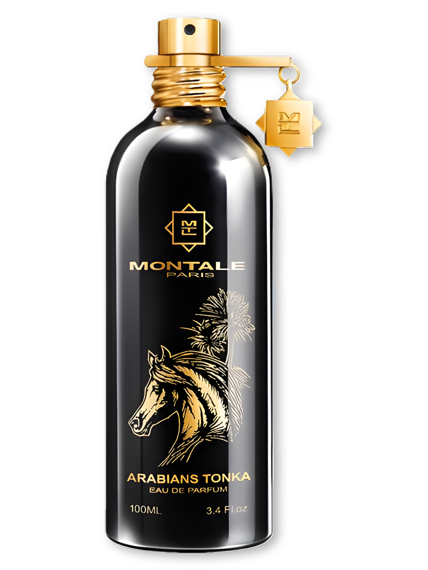 Montale-Arabians Tonka