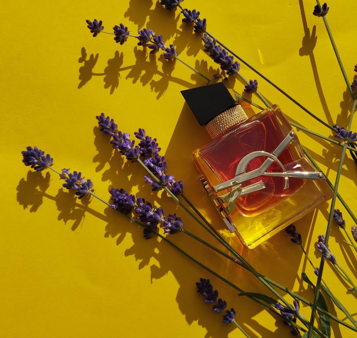 Yves Saint Laurent-Libre Le Parfum