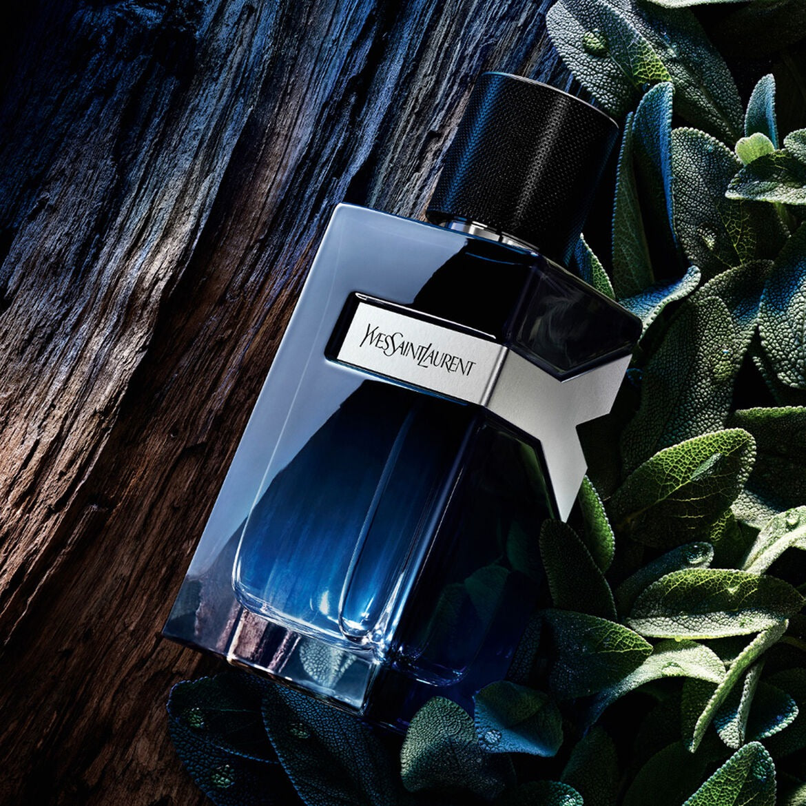 Yves Saint Laurent-Y Eau de Parfum