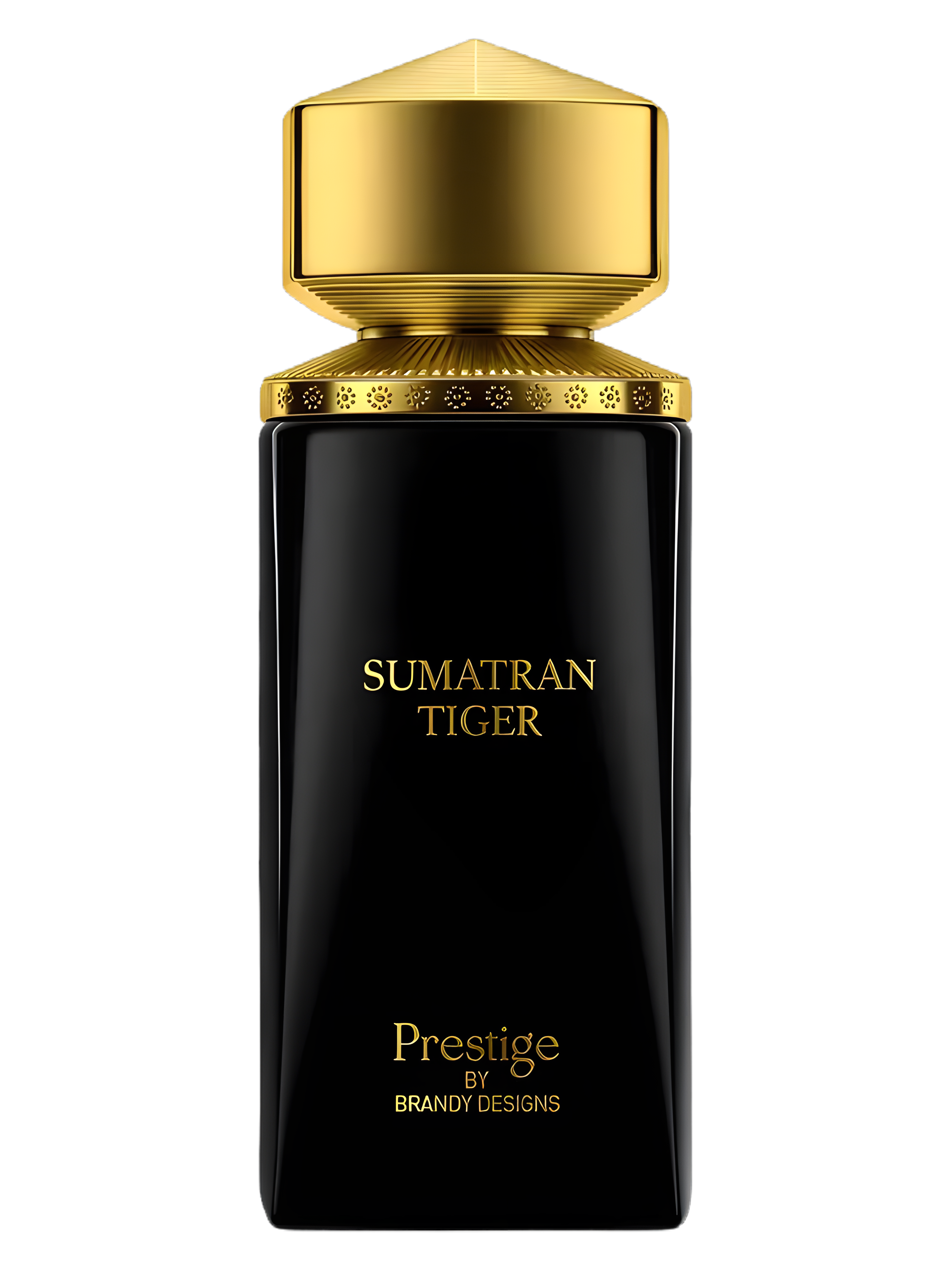 Prestige Brandy Designs-Sumatran Tiger