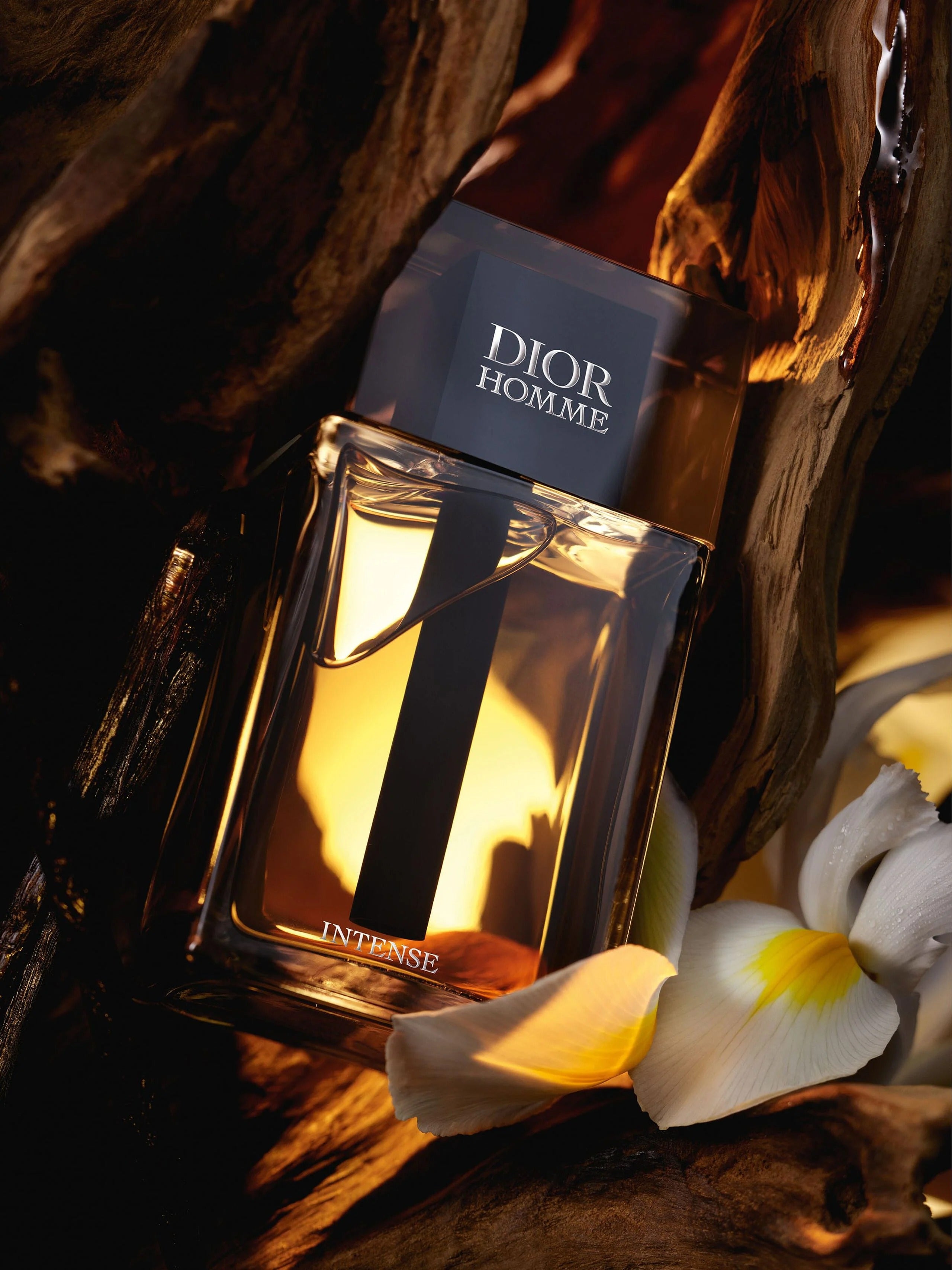 Dior-Dior Homme Intense 2025
