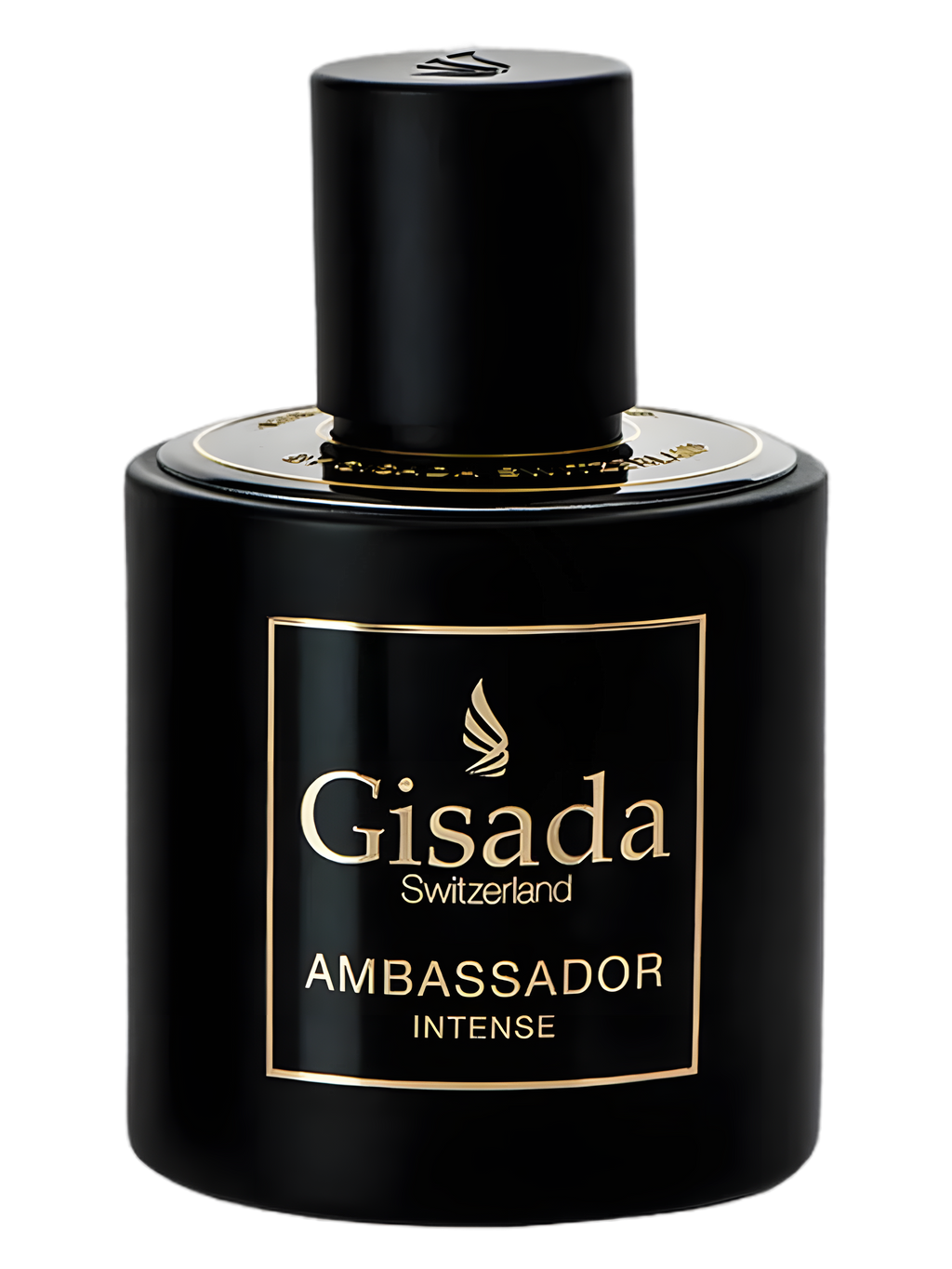 Gisada-Ambassador Intense