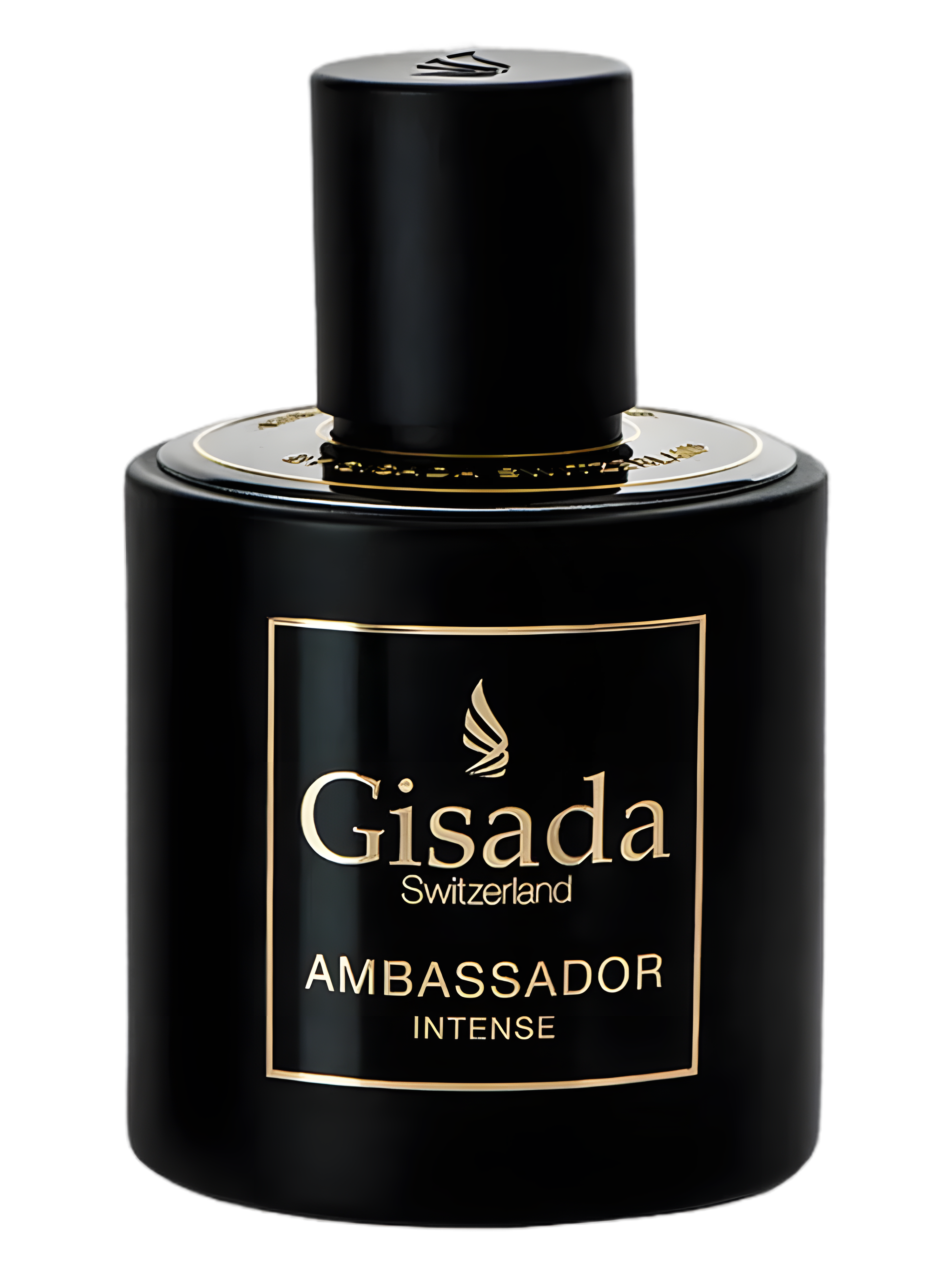 Gisada-Ambassador Intense