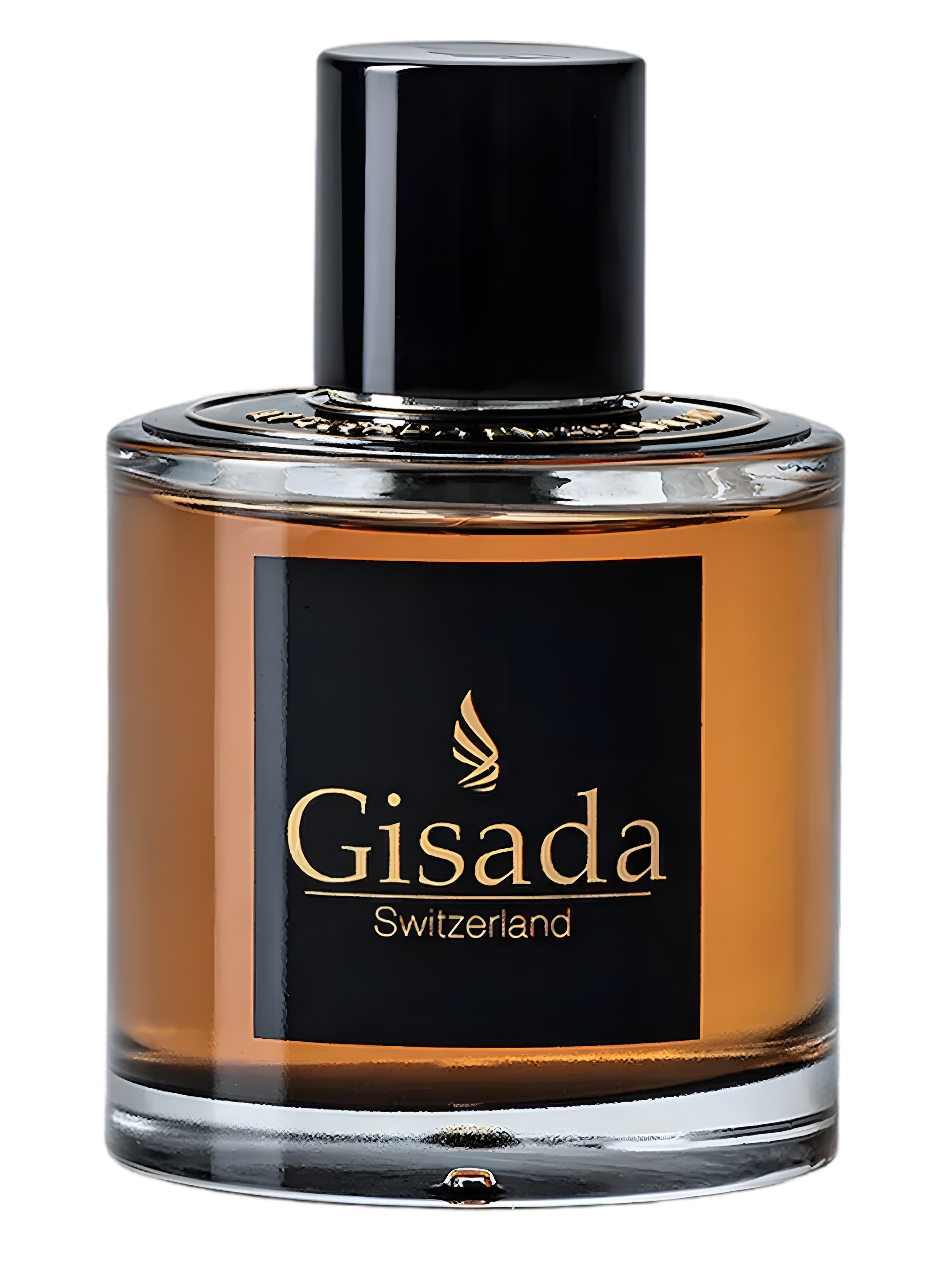 Gisada-Ambassador