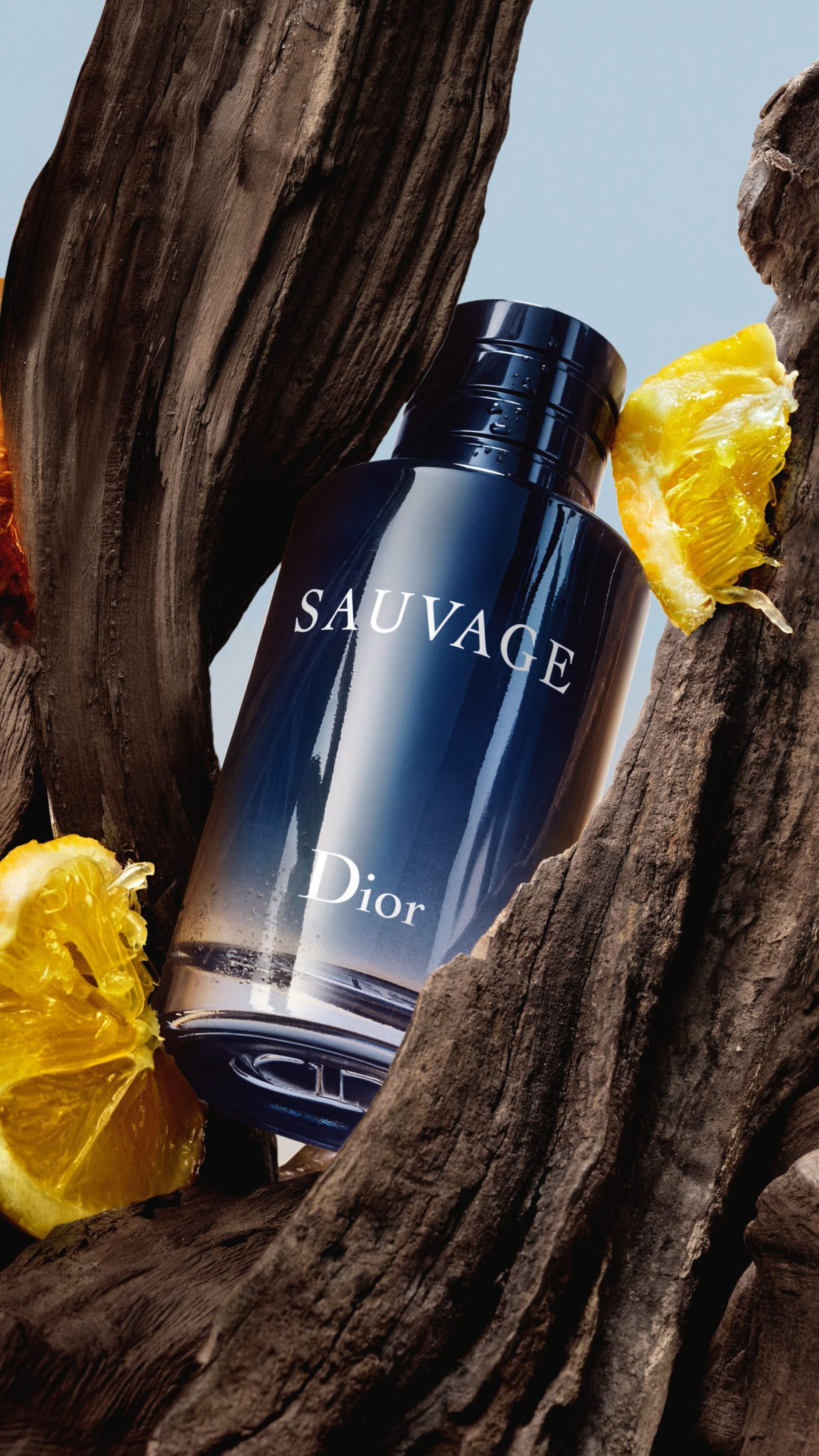 Dior-Sauvage Eau de Toilette