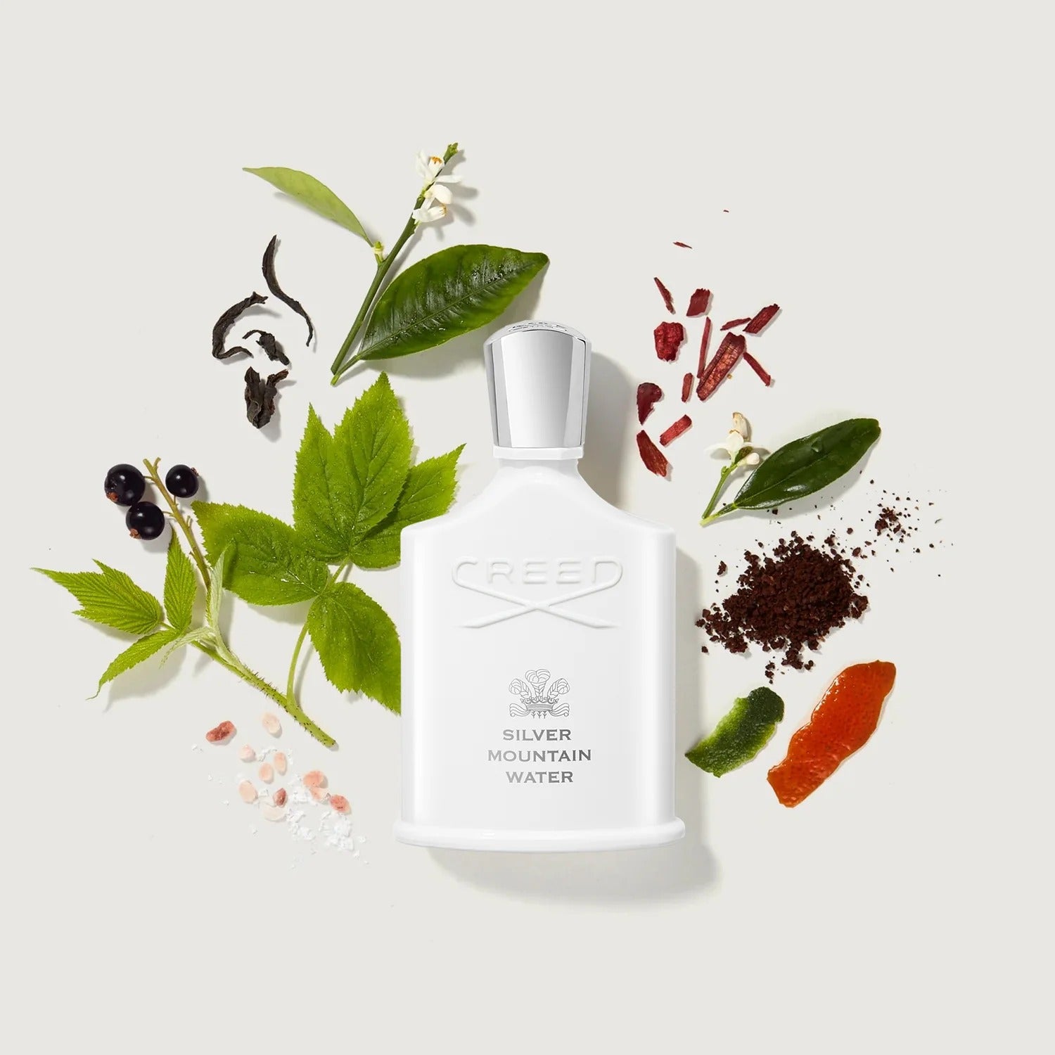 Creed-Silver Mountain Water