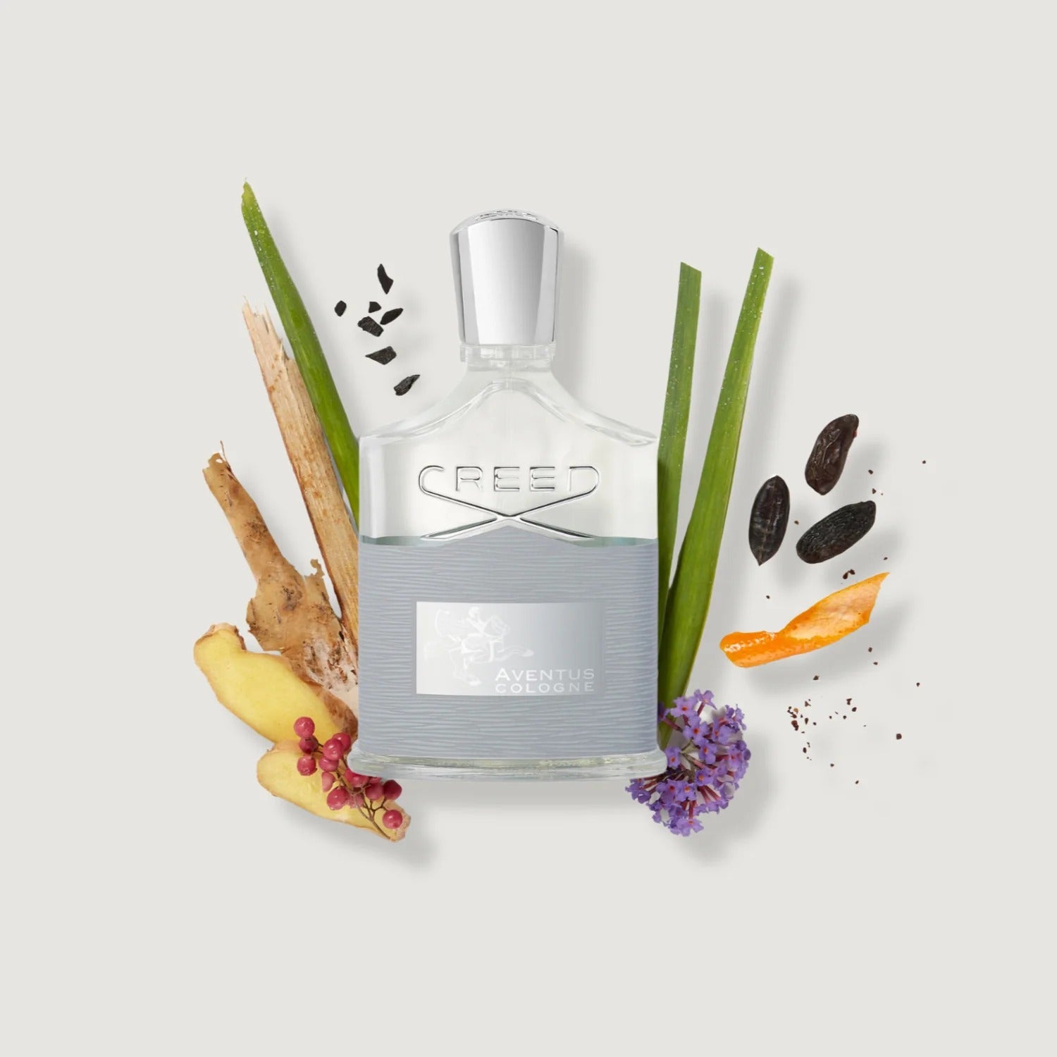 Creed-Aventus Cologne