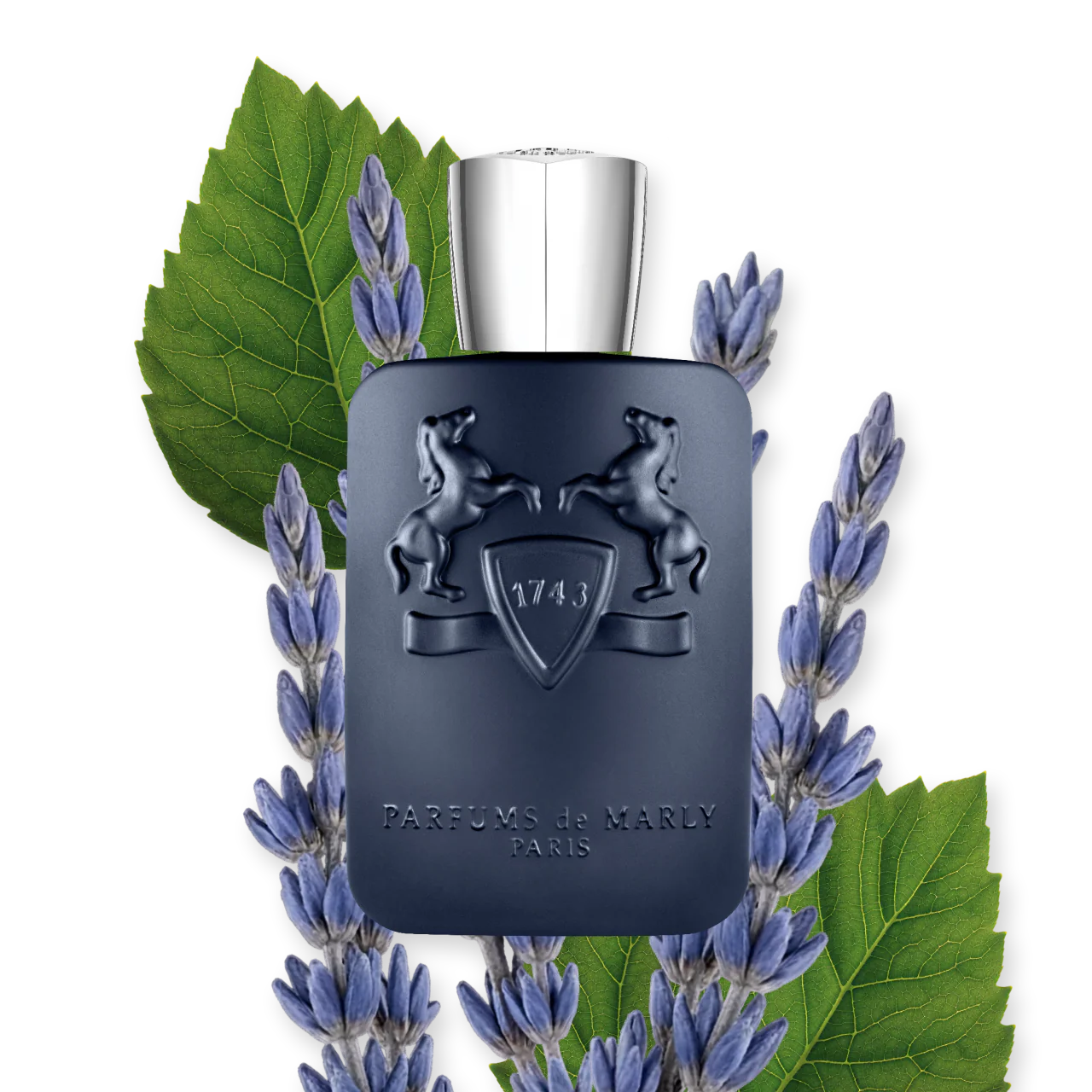 Perfumes de Marly-Layton
