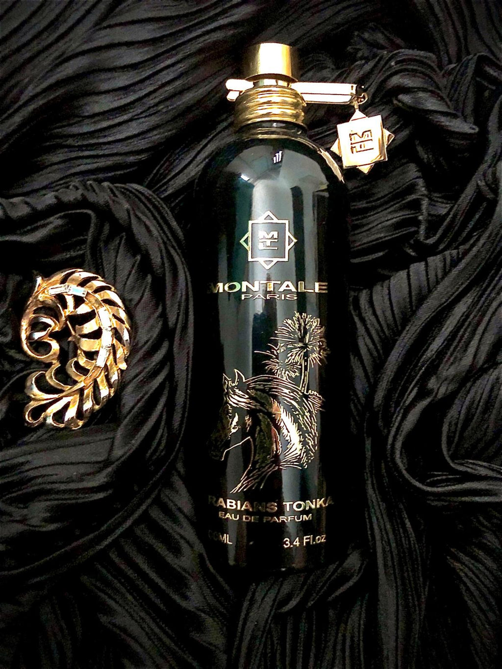Montale-Arabians Tonka